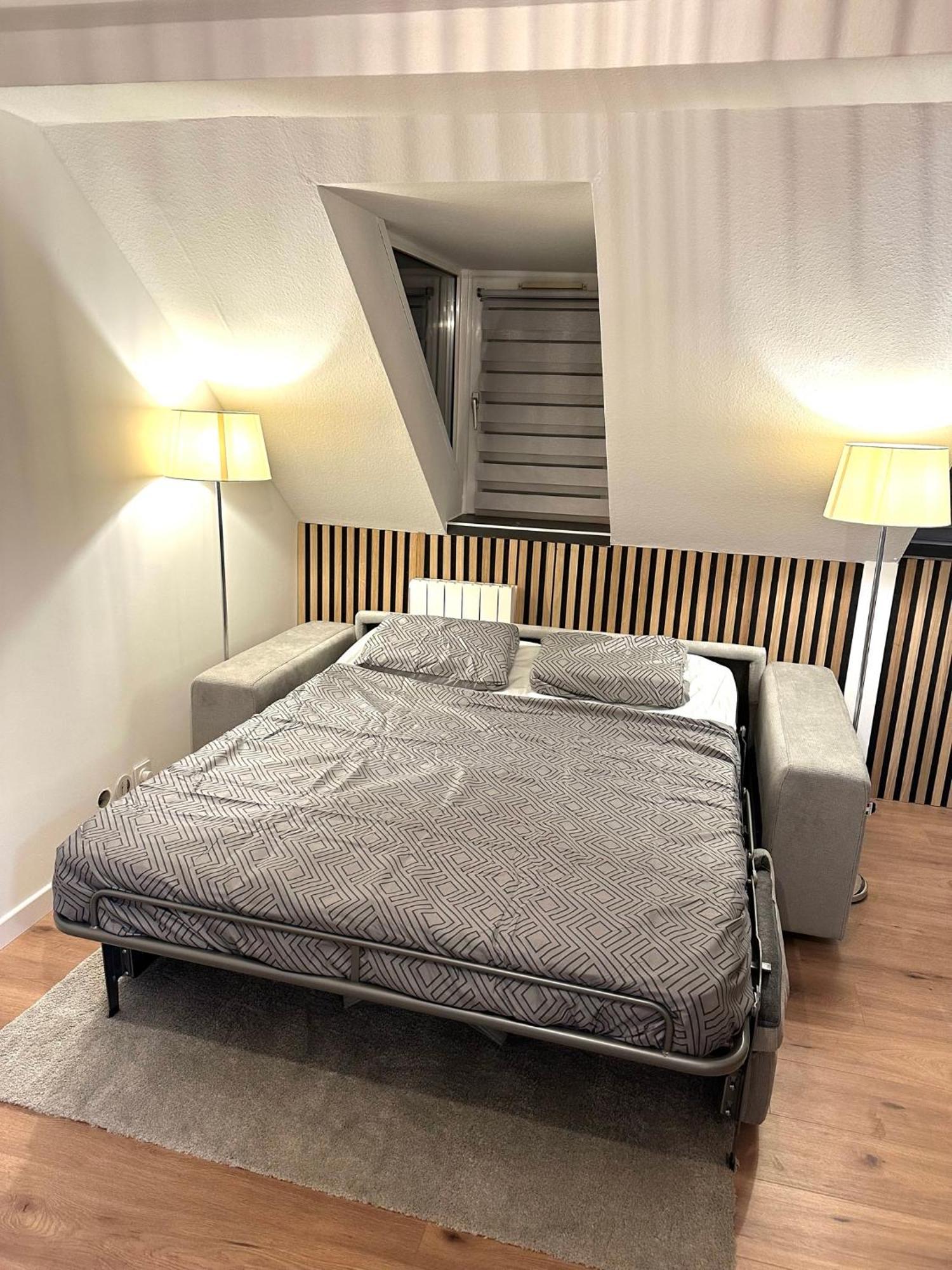 Moderne T2 Centre Sauna Wifi Home Office Netflix Estrasburgo Exterior foto