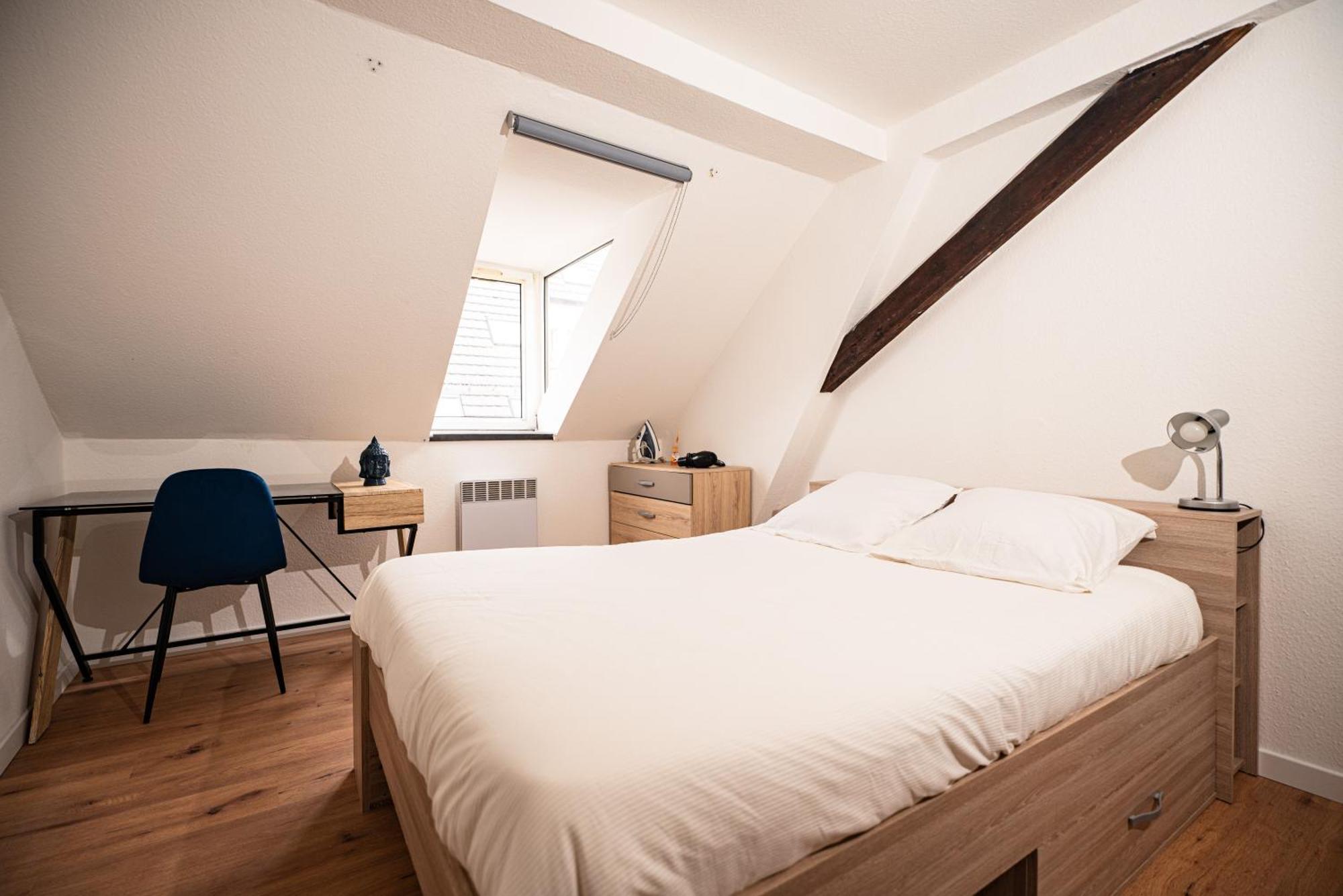 Moderne T2 Centre Sauna Wifi Home Office Netflix Estrasburgo Exterior foto